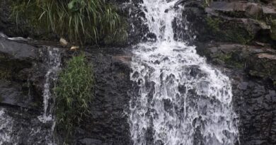 Cachoeira do Guarupu